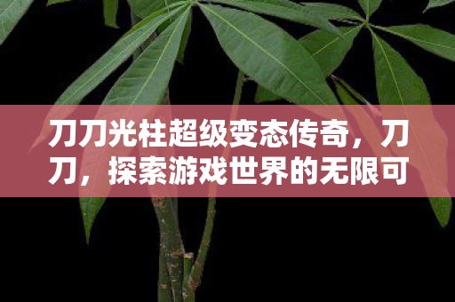 刀刀光柱超级变态传奇,刀刀,探索游戏世界的无限可能 刀刀光柱超级变态传奇,刀刀,探索游戏世界的无限可能
