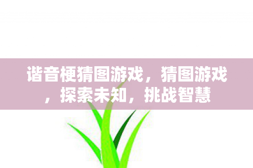 谐音梗猜图游戏，猜图游戏，探索未知，挑战智慧