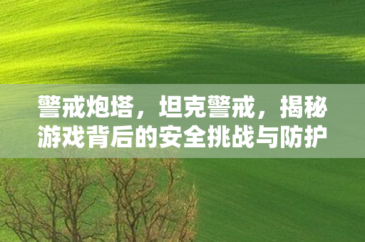 警戒炮塔，坦克警戒，揭秘游戏背后的安全挑战与防护措施