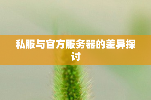 私服与官方服务器的差异探讨 私服与官方服务器的差异探讨