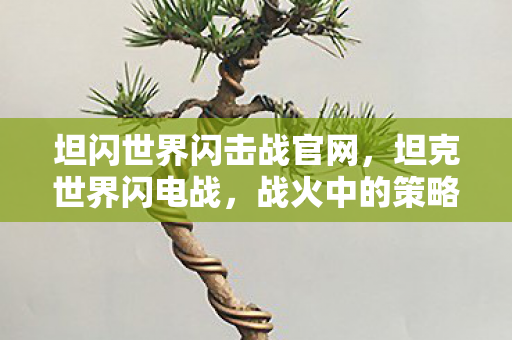 坦闪世界闪击战官网，坦克世界闪电战，战火中的策略与激情