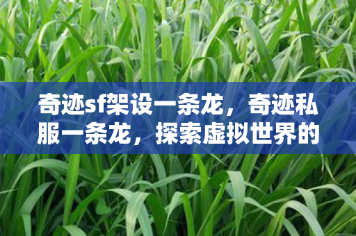 奇迹sf架设一条龙，奇迹私服一条龙，探索虚拟世界的便捷之路