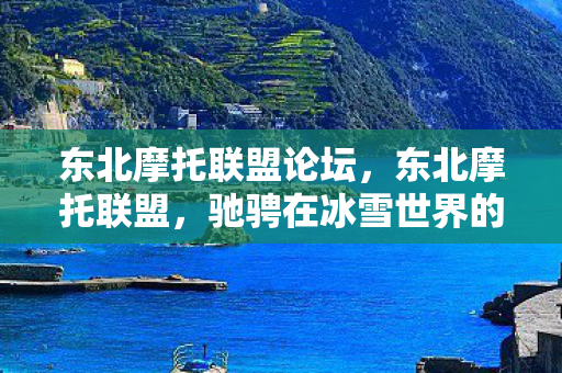 东北摩托联盟论坛，东北摩托联盟，驰骋在冰雪世界的摩托情怀