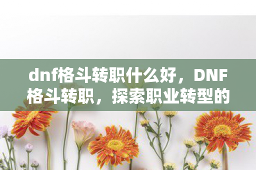 dnf格斗转职什么好，DNF格斗转职，探索职业转型的无限可能