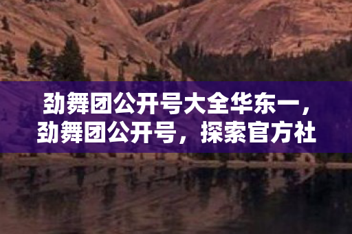 劲舞团公开号大全华东一，劲舞团公开号，探索官方社区的无限魅力