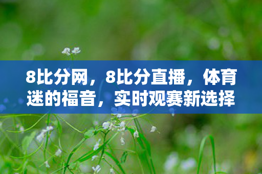 8比分网，8比分直播，体育迷的福音，实时观赛新选择