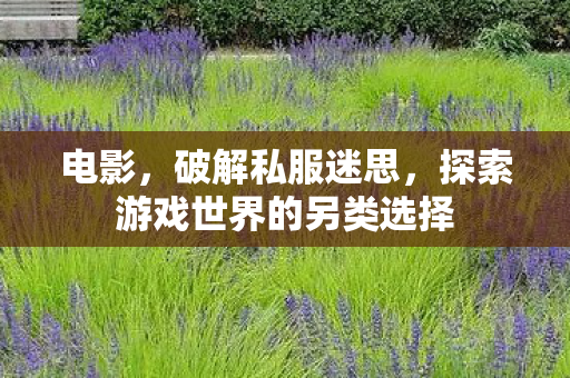 电影，破解私服迷思，探索游戏世界的另类选择