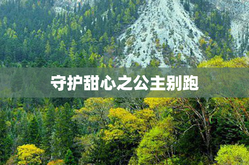 守护甜心之公主别跑