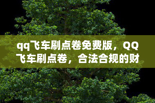 qq飞车刷点卷免费版，QQ飞车刷点卷，合法合规的财富增长之道
