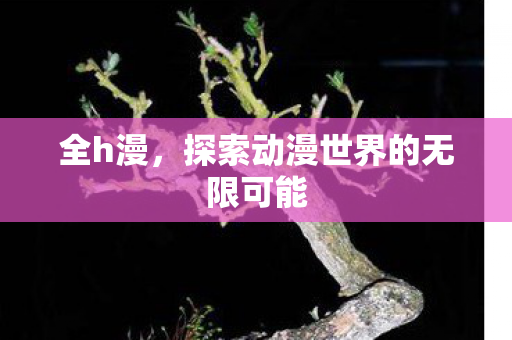 全h漫，探索动漫世界的无限可能