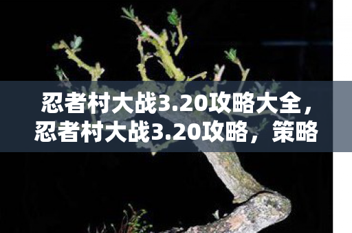 忍者村大战3.20攻略大全，忍者村大战3.20攻略，策略与技巧的深度解析