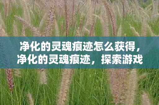 净化的灵魂痕迹怎么获得，净化的灵魂痕迹，探索游戏世界的纯净与和谐