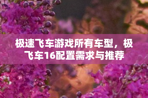 极速飞车游戏所有车型，极飞车16配置需求与推荐