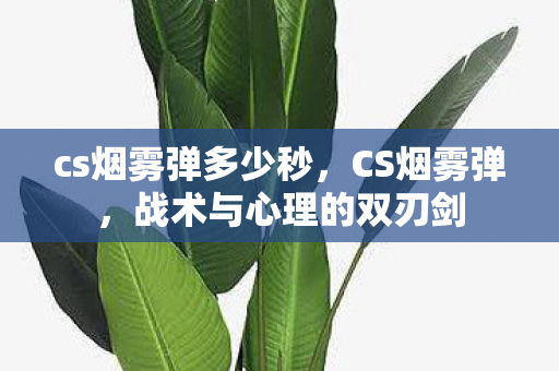 cs烟雾弹多少秒，CS烟雾弹，战术与心理的双刃剑