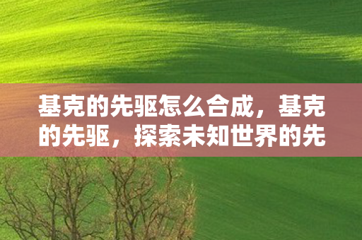 基克的先驱怎么合成，基克的先驱，探索未知世界的先驱者