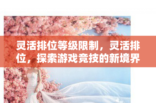 灵活排位等级限制，灵活排位，探索游戏竞技的新境界