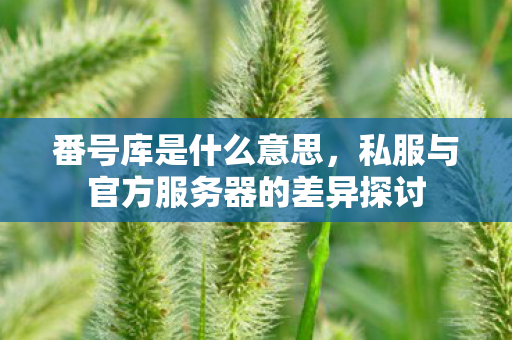 番号库是什么意思，私服与官方服务器的差异探讨