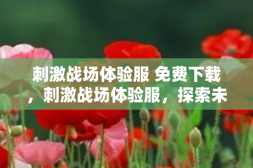 刺激战场体验服 免费下载，刺激战场体验服，探索未知，挑战极限