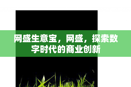 网盛生意宝，网盛，探索数字时代的商业创新