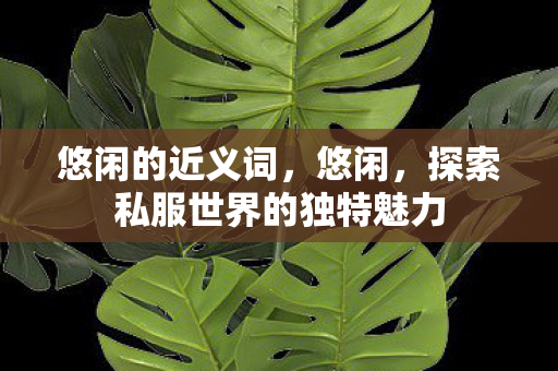 悠闲的近义词，悠闲，探索私服世界的独特魅力