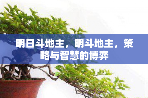 明日斗地主,明斗地主,策略与智慧的博弈 明日斗地主,明斗地主,策略与智慧的博弈