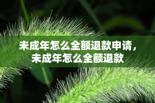 未成年怎么全额退款申请，未成年怎么全额退款