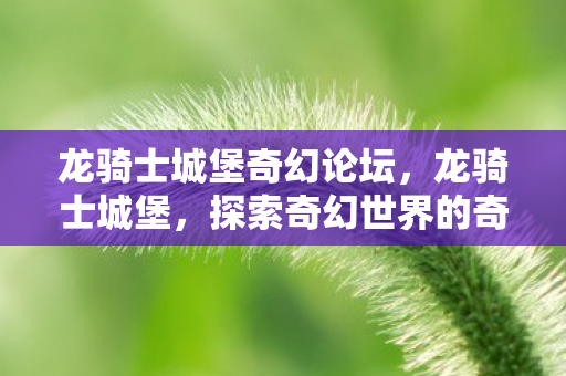 龙骑士城堡奇幻论坛,龙骑士城堡,探索奇幻世界的奇妙之旅 龙骑士城堡奇幻论坛,龙骑士城堡,探索奇幻世界的奇妙之旅