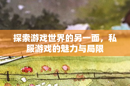 探索游戏世界的另一面，私服游戏的魅力与局限