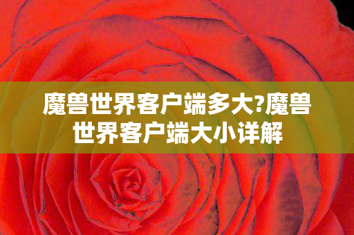 魔兽世界客户端多大?魔兽世界客户端大小详解 魔兽世界客户端多大?魔兽世界客户端大小详解