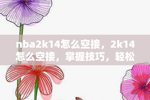 nba2k14怎么空接，2k14怎么空接，掌握技巧，轻松实现空中接力
