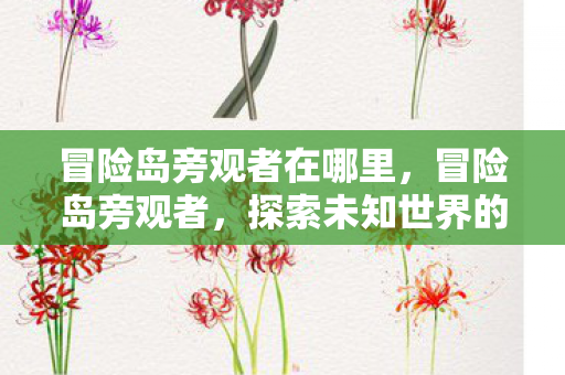 冒险岛旁观者在哪里，冒险岛旁观者，探索未知世界的神秘角落