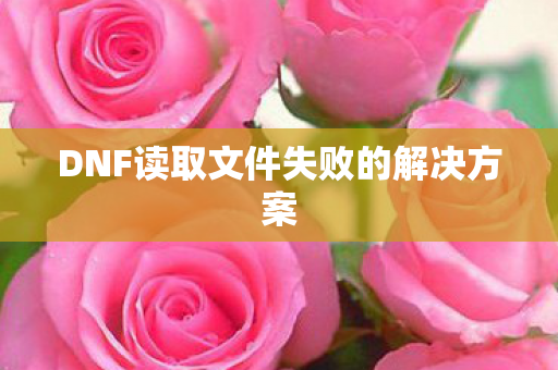 DNF读取文件失败的解决方案