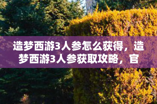 造梦西游3人参怎么获得，造梦西游3人参获取攻略，官方途径与策略分享