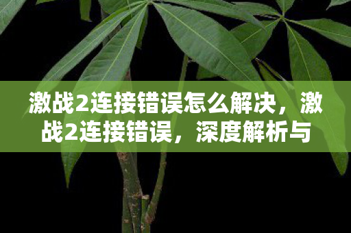 激战2连接错误怎么解决，激战2连接错误，深度解析与解决方案