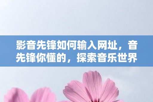 影音先锋如何输入网址，音先锋你懂的，探索音乐世界的无限可能