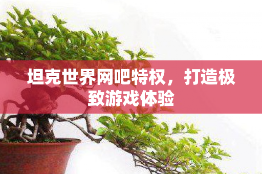 坦克世界网吧特权，打造极致游戏体验