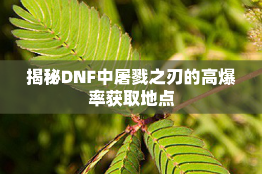 揭秘DNF中屠戮之刃的高爆率获取地点