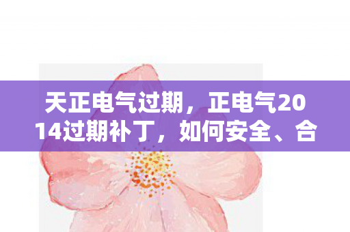 天正电气过期，正电气2014过期补丁，如何安全、合法地解决软件更新问题