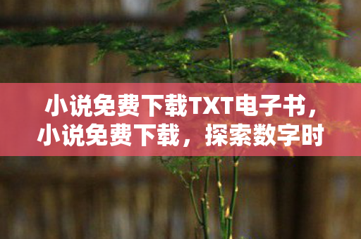小说免费下载TXT电子书，小说免费下载，探索数字时代的阅读新风尚