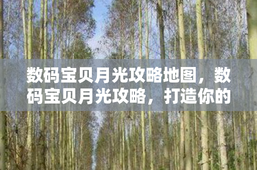 数码宝贝月光攻略地图，数码宝贝月光攻略，打造你的专属进化之路