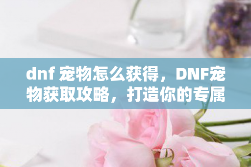dnf 宠物怎么获得，DNF宠物获取攻略，打造你的专属萌宠