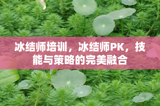 冰结师培训，冰结师PK，技能与策略的完美融合