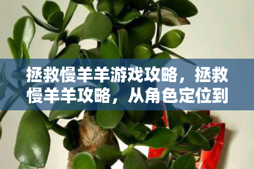 拯救慢羊羊游戏攻略，拯救慢羊羊攻略，从角色定位到策略提升