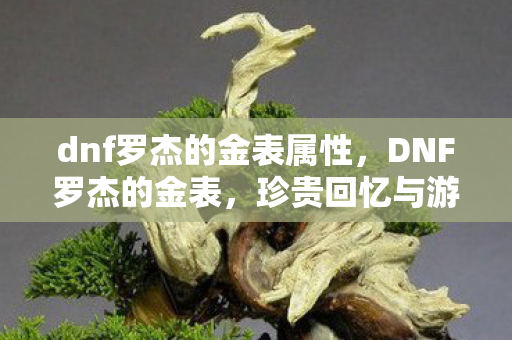 dnf罗杰的金表属性，DNF罗杰的金表，珍贵回忆与游戏文化的传承