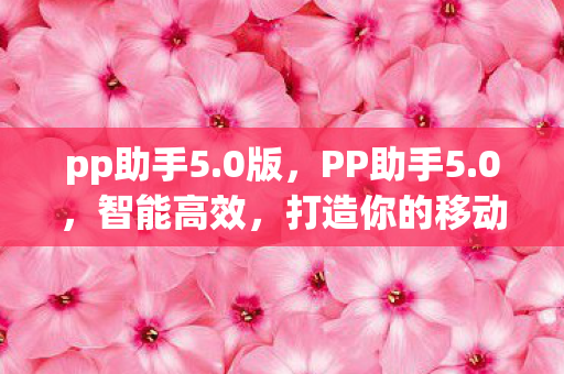 pp助手5.0版，PP助手5.0，智能高效，打造你的移动设备管理新体验