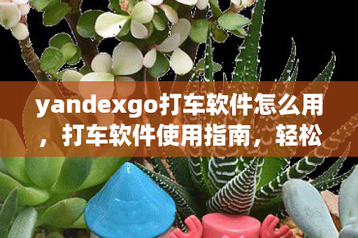 yandexgo打车软件怎么用，打车软件使用指南，轻松叫车，安全出行