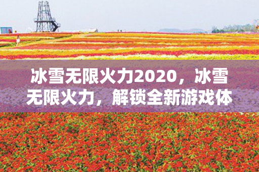 冰雪无限火力2020，冰雪无限火力，解锁全新游戏体验