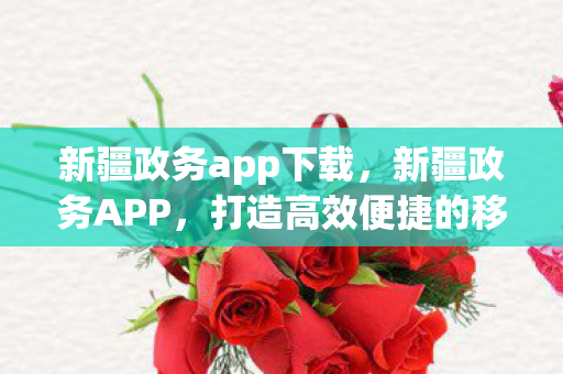 新疆政务app下载，新疆政务APP，打造高效便捷的移动政务平台