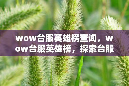 wow台服英雄榜查询，wow台服英雄榜，探索台服玩家的荣耀与梦想