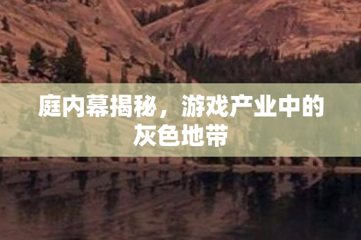 庭内幕揭秘,游戏产业中的灰色地带 庭内幕揭秘,游戏产业中的灰色地带